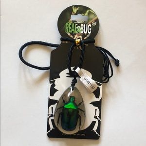 Real Bug Necklace